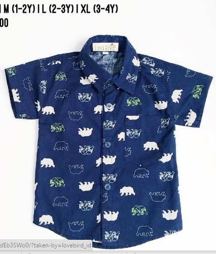 0101-1242b- Big Bear Navy Shirt