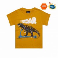 ROAR-1-NEW-1-650x650